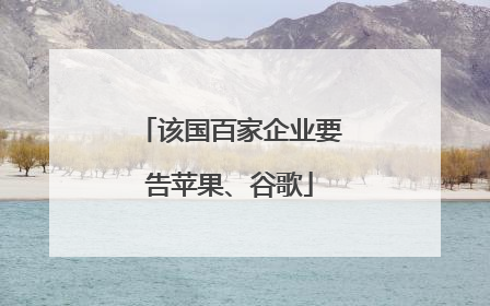 该国百家企业要告苹果、谷歌