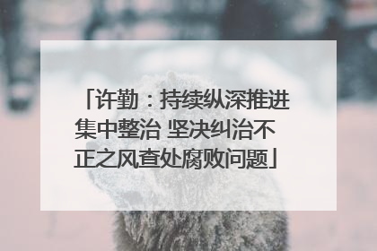 许勤：持续纵深推进集中整治 坚决纠治不正之风查处腐败问题