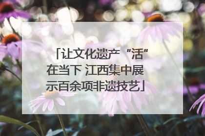 让文化遗产“活”在当下 江西集中展示百余项非遗技艺