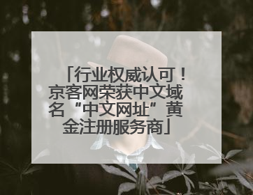 行业权威认可！京客网荣获中文域名“中文网址”黄金注册服务商