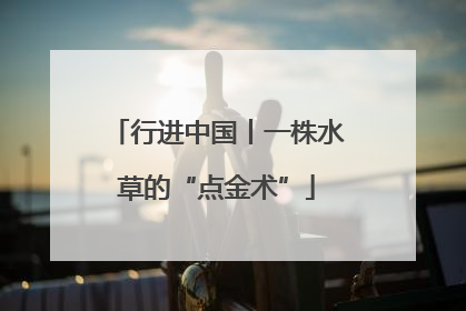 行进中国丨一株水草的“点金术”