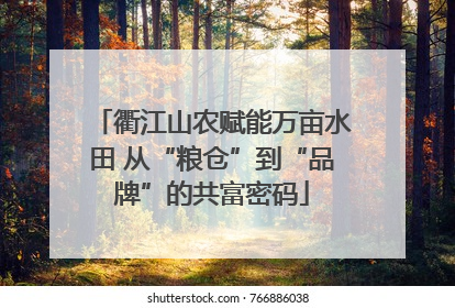 衢江山农赋能万亩水田 从“粮仓”到“品牌”的共富密码