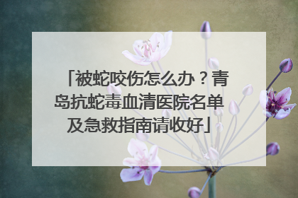 被蛇咬伤怎么办？青岛抗蛇毒血清医院名单及急救指南请收好
