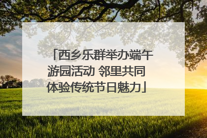 西乡乐群举办端午游园活动 邻里共同体验传统节日魅力
