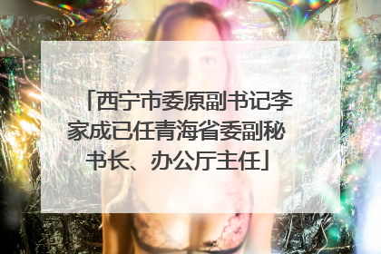 西宁市委原副书记李家成已任青海省委副秘书长、办公厅主任