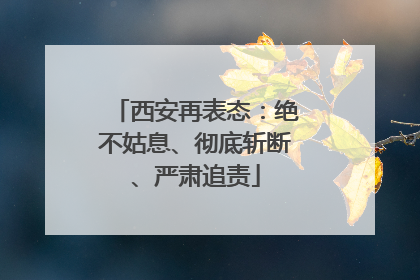 西安再表态：绝不姑息、彻底斩断、严肃追责