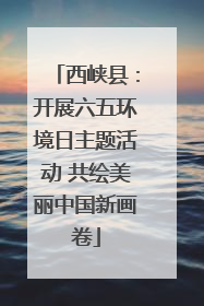 西峡县：开展六五环境日主题活动 共绘美丽中国新画卷