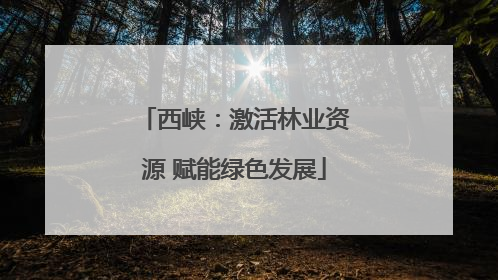 西峡：激活林业资源 赋能绿色发展