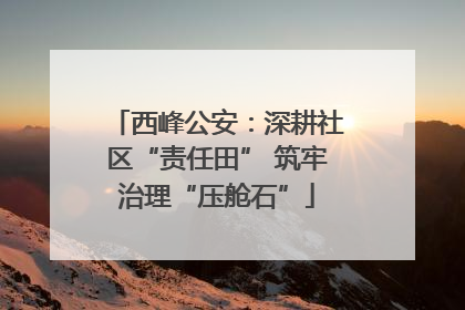 西峰公安：深耕社区“责任田” 筑牢治理“压舱石”