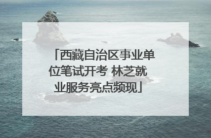 西藏自治区事业单位笔试开考 林芝就业服务亮点频现