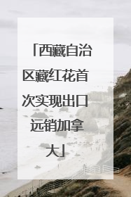 西藏自治区藏红花首次实现出口 远销加拿大