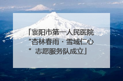 襄阳市第一人民医院“杏林春雨・雪域仁心”志愿服务队成立