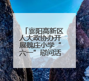 襄阳高新区人大政协办开展魏庄小学“六一”慰问活动