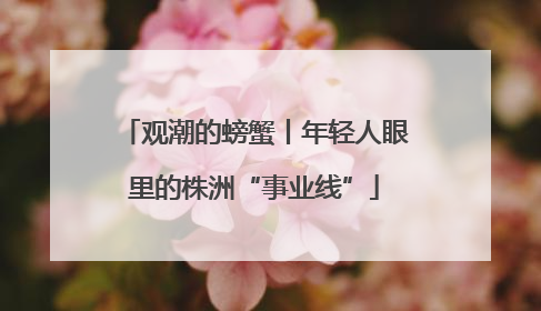 观潮的螃蟹丨年轻人眼里的株洲“事业线”