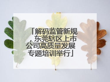 解码监管新规，东莞辖区上市公司高质量发展专题培训举行