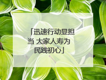 迅速行动显担当 大家人寿为民践初心