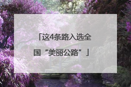 这4条路入选全国“美丽公路”