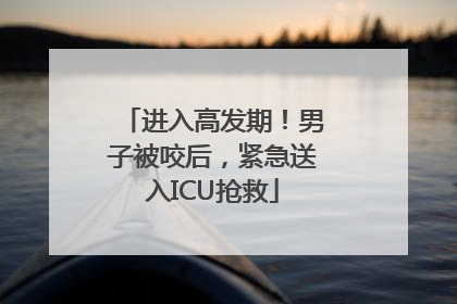 进入高发期！男子被咬后，紧急送入ICU抢救