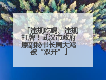 违规吃喝、违规打牌！武汉市政府原副秘书长周大鸿被“双开”