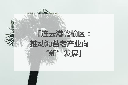 连云港赣榆区：推动海苔老产业向“新”发展