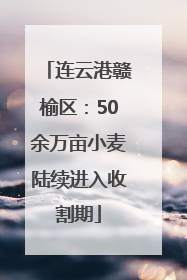 连云港赣榆区：50余万亩小麦陆续进入收割期
