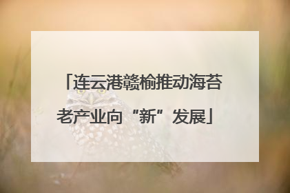连云港赣榆推动海苔老产业向“新”发展