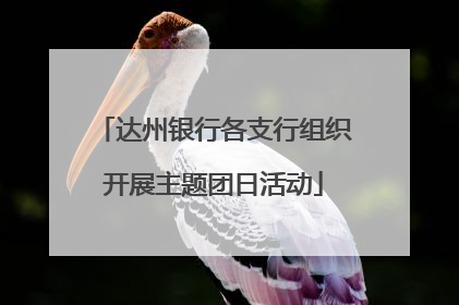 达州银行各支行组织开展主题团日活动