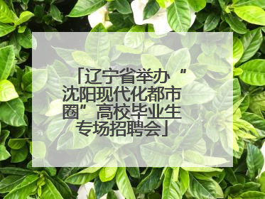 辽宁省举办“沈阳现代化都市圈”高校毕业生专场招聘会
