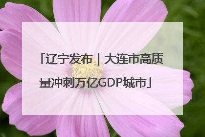 辽宁发布｜大连市高质量冲刺万亿GDP城市