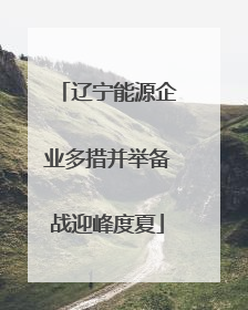 辽宁能源企业多措并举备战迎峰度夏