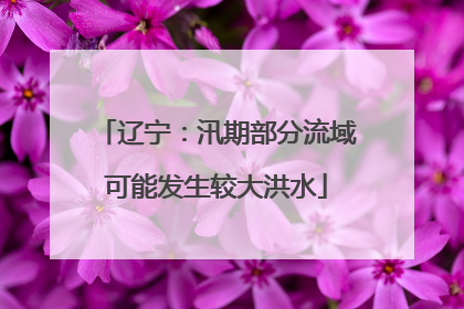 辽宁：汛期部分流域可能发生较大洪水