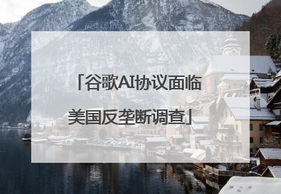 谷歌AI协议面临美国反垄断调查