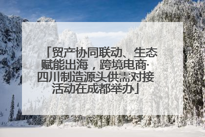 贸产协同联动、生态赋能出海，跨境电商·四川制造源头供需对接活动在成都举办