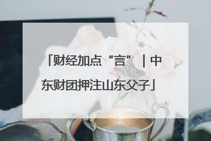 财经加点“言”｜中东财团押注山东父子