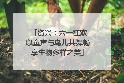 资兴：六一狂欢 以童声与鸟儿共舞畅享生物多样之美