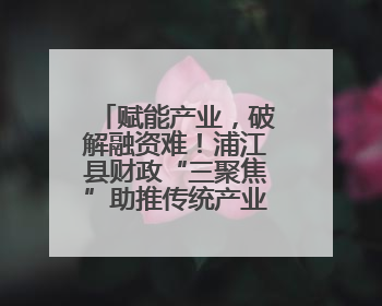 赋能产业，破解融资难！浦江县财政“三聚焦”助推传统产业转型升级