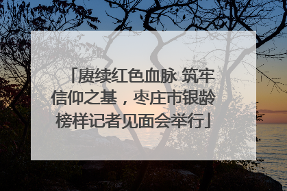 赓续红色血脉 筑牢信仰之基，枣庄市银龄榜样记者见面会举行