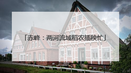 赤峰：两河流域稻农插秧忙