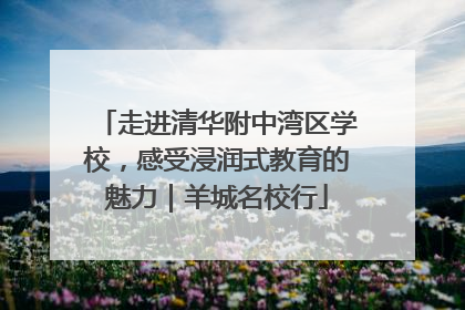 走进清华附中湾区学校，感受浸润式教育的魅力｜羊城名校行