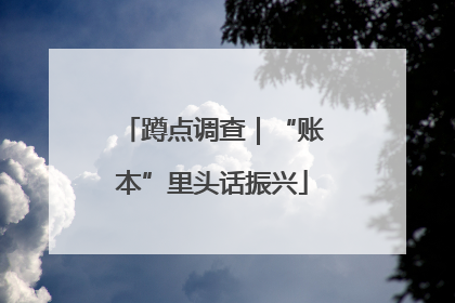蹲点调查｜“账本”里头话振兴