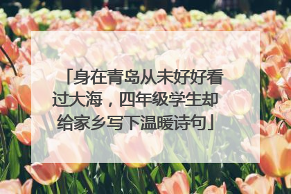 身在青岛从未好好看过大海，四年级学生却给家乡写下温暖诗句