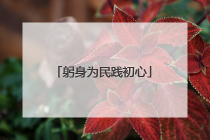 躬身为民践初心
