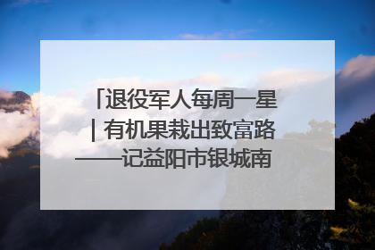 退役军人每周一星｜有机果栽出致富路——记益阳市银城南湖蔬果农民专业合作社总经理晏桂明