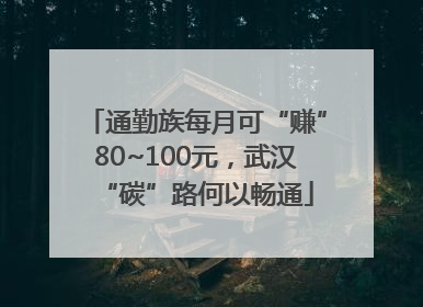 通勤族每月可“赚”80~100元，武汉“碳”路何以畅通