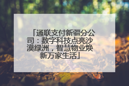 通联支付新疆分公司：数字科技点亮沙漠绿洲，智慧物业焕新万家生活