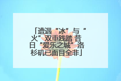 遭遇“冰”与“火”双重践踏 昔日“爱乐之城”洛杉矶已面目全非