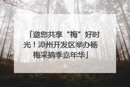 邀您共享“梅”好时光！漳州开发区举办杨梅采摘季嘉年华