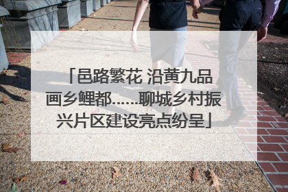 邑路繁花 沿黄九品 画乡鲤都……聊城乡村振兴片区建设亮点纷呈