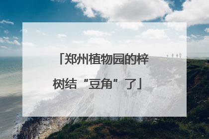 郑州植物园的梓树结“豆角”了