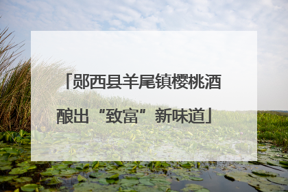郧西县羊尾镇樱桃酒酿出“致富”新味道